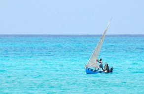 nattu_2419929765